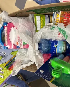 tri sigma, eiu, donation, wcc, toys