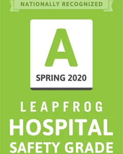 Leapfrog A - Spring '20