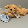Warmies Golden Dog w/Blue Blanket